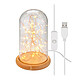 Goobay Glass Bell With Micro LED Light Chain Cloche en verre avec guirlande lumineuse micro LED