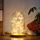 Avis Goobay Glass Bell With Micro LED Light Chain