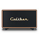Caliber HFG411BT Gold Brown - Altoparlante Bluetooth 5.0 - 200 Watt - con porta USB e ingresso AUX