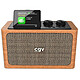 CGV BeBop DAB+ (Bois) Radio numérique - 2x10W - Bluetooth5.3/USB/MicroSD - écran 2.4" - autonomie 4 heures - mémorisation jusqu'à 40 stations
