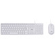 Bluestork Pack Mac Ensemble clavier/souris filaire - USB - touches à membrane - capteur optique 2400 dpi - AZERTY, Français