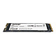 Acheter Patriot SSD P300 256 Go