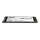 Acheter Patriot SSD P300 512 Go