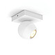 Avis Philips Hue White Spot d'intérieur connecté BUCKRAM extension - 5.5W - Blanc