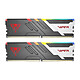 Viper Gaming Venom RGB 32 Go (2x 16 Go) DDR5 6000 MHz CL40 Kit Dual Channel 2 barrettes de RAM RGB DDR5 PC5-48000 - PVVR532G600C36K