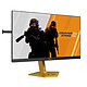PC monitor