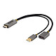StarTech.com Adaptateur HDMI 4K 60Hz vers DisplayPort de 30 cm - M/F Convertisseur HDMI 2.0 4K 60Hz Displayport 1.2, Alimentation par Bus - HDR (Mâle/Femelle)