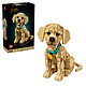 Avis LEGO Icons 11384 Le Chiot Golden Retriever