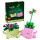 Review LEGO Botanicals 11506 Small Dancing Plants
