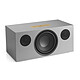 Avis Audio Pro C20 W Gris