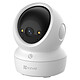 IP camera
