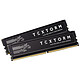 Textorm 32 Go (2x 16 Go) DDR5 6000 MHz CL36 Kit Dual Channel 2 barrettes de RAM DDR5 PC5-48000 - TXU16G2A60C36X2
