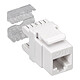 Connectique RJ12 et RJ45