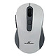 Bluestork Office 65 Wireless (Gris) Souris sans fil - Bluetooth/RF 2.4 GHz - capteur optique 4800 - 6 boutons