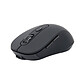 Souris PC