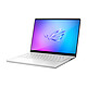 Avis ASUS ROG Zephyrus G14 GA403GM-DR2W