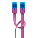 Câbles RJ45