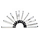 Zebra Stylets de nettoyage pour tête d'impression (105950-035) Lot de 12 stylets de nettoyage pour tête d'impression transfert thermique