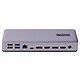 Acheter StarTech.com DK31C3MNCRUE