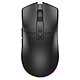 The G-Lab KULT Silicium (Noir) Souris filaire ou sans fil pour gamer - droitier - RF2.4 GHz/Bluetooth/Filaire - capteur optique 12000 dpi - 7 boutons - rétroéclairage RGB