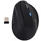 Bluestork Ergo Pro Souris sans fil ergonomique - droitier - Bluetooth/RF 2.4 GHz - capteur 3200 dpi - 6 boutons