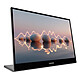 Lenovo 16" LED - L16 Monitor Ecran PC Full HD 1080p - 1920 x 1200 pixels - 8 ms - 16/10 - Dalle IPS - USB-C - Noir/Gris