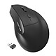 Advance Vertical RX Souris sans fil - droitier - RF 2.4 GHz - capteur optique 2400 dpi - 6 boutons