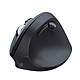 Acheter INOVU Pack clavier-souris AW10G (Gris/Noir) + EG200V (Noir)