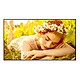 LG 43UL5Q-E Display dinamico 43" - 4K (3840 x 2160 pixel) - 16:9 - ADS - Pannello lucido, Haze 1% - 1200:1 - 500 cd/m² - 8 ms - Wi-Fi/Ethernet - HDMI - Altoparlante integrato - 24/7 - Nero
