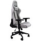 Acheter The G-Lab K-Seat Platinium EX (Gris)