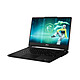 Avis MSI Cyborg 15 Max C13WG-1012FRYNN