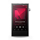 Astell&amp;Kern PD5 Reproductor Hi-Res Audio - 64 Go - Pantalla táctil HD de 4.1" - Bluetooth 5.3 aptX HD/LDAC - DAC USB - Wi-Fi - Autonomía de 28h - Ranura Micro SDXC - USB-C