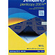 PELIKAN Pochette de 10 feuilles Papier Carbone Plenticopy 200H Bleu Papier carbone
