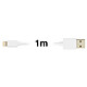 Avis Inkax Câble 1m USB Compatible iPhone iPad iPod 2.1A  Charge