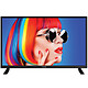 POLAROID TQLED24HD04 TV 24'' HD LED 60 cm USB 2.0 1*HDMI