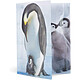 Acheter HERMA Chemise à élastiques 'pingouins', PP Glossy, A4
