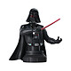 Star Wars Rebels - Buste 1/7 Darth Vader 15 cm Buste 1/7 Star Wars Rebels, modèle Darth Vader 15 cm.