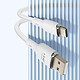 Acheter LinQ Câble USB vers USB C Fast Charge 5A Synchronisation Longueur 1.2m Blanc (TPC9309)