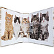 Avis HERMA Classeurs à levier motifs 'Animals' format A4 modèle chats