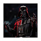 Avis Star Wars : Obi-Wan Kenobi - Buste 1/6 Darth Vader 15 cm