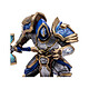 Avis World of Warcraft - Figurine Human: Paladin / Warrior 15 cm