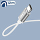 Acheter Écouteurs Filaires USB-C Son de Qualité Bouton Multifonction LinQ Argent