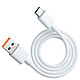 Evetane Câble USB-A vers USB-C 1M Câble USB-A vers USB-C 1M