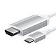 Acheter Satechi Câble USB-C vers HDMI 4K Argent