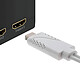Avizar Câble USB Femelle MHL Vers HDMI Mâle Et USB Mâle Smartphone / Tablette - Blanc pas cher