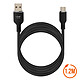 LinQ Câble USB vers USB C Fast Charge 5A Synchronisation Longueur 1.2m Noir pas cher