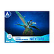 Avis Avatar 2 - Diorama D-Stage Neytiri 15 cm