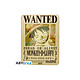 One Piece - Plaque métal Luffy Wanted New World (28x38) Plaque métal One Piece, modèle Luffy Wanted New World (28x38).