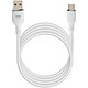 LinQ Câble USB vers USB C Fast Charge 5A Synchronisation Longueur 1.2m Blanc (TPC9309)