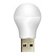 Avizar Ampoule LED USB 1W 6500K,  avec Format Compact et Universel Source extérieure de lumière LED de poche, pour illuminer n'importe quel endroit de la maison